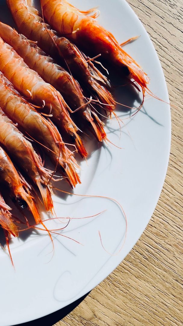 Detalle de emplatado overhead — geometría y precisión gastronómica